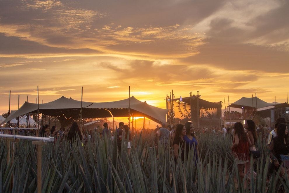 El bar al atardecer