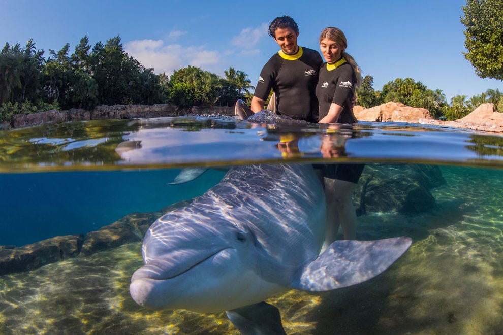 Discovery Cove Orlando