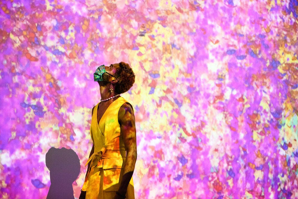 Best Immersive Art Experience Winners (2021) USA TODAY 10Best