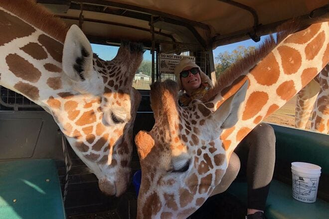 Global Wildlife Center is one of the very best things to do in New Orleans