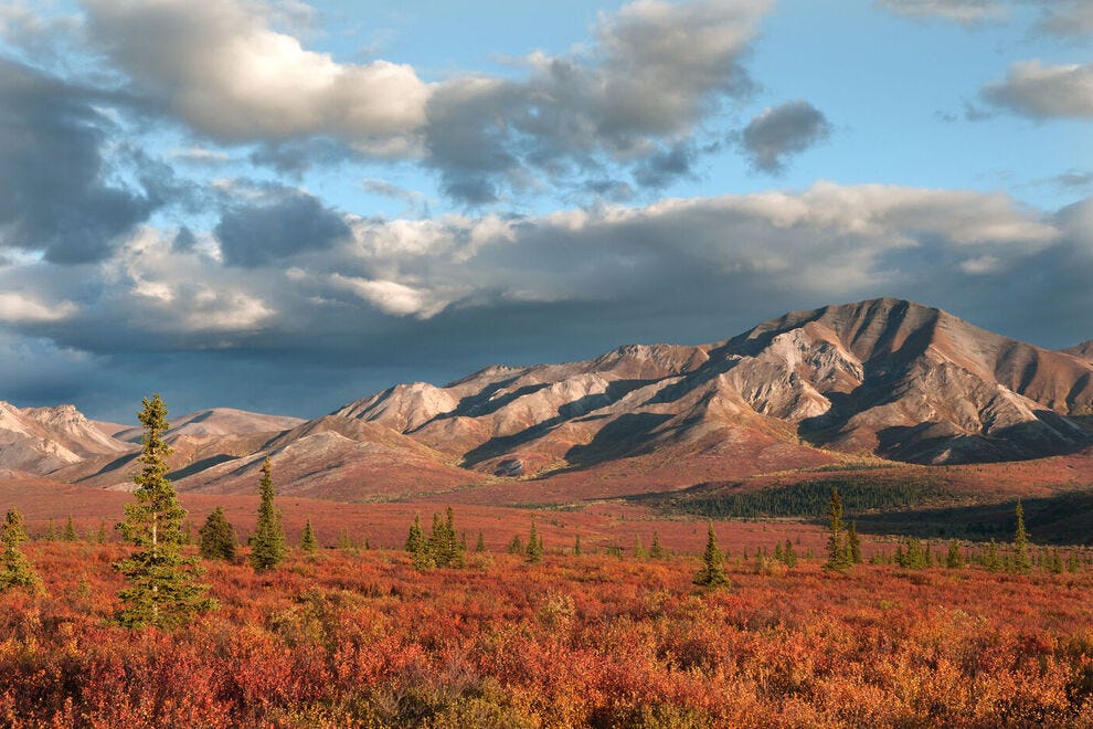Vote Denali National Park Best Destination For Fall Foliage Nominee 