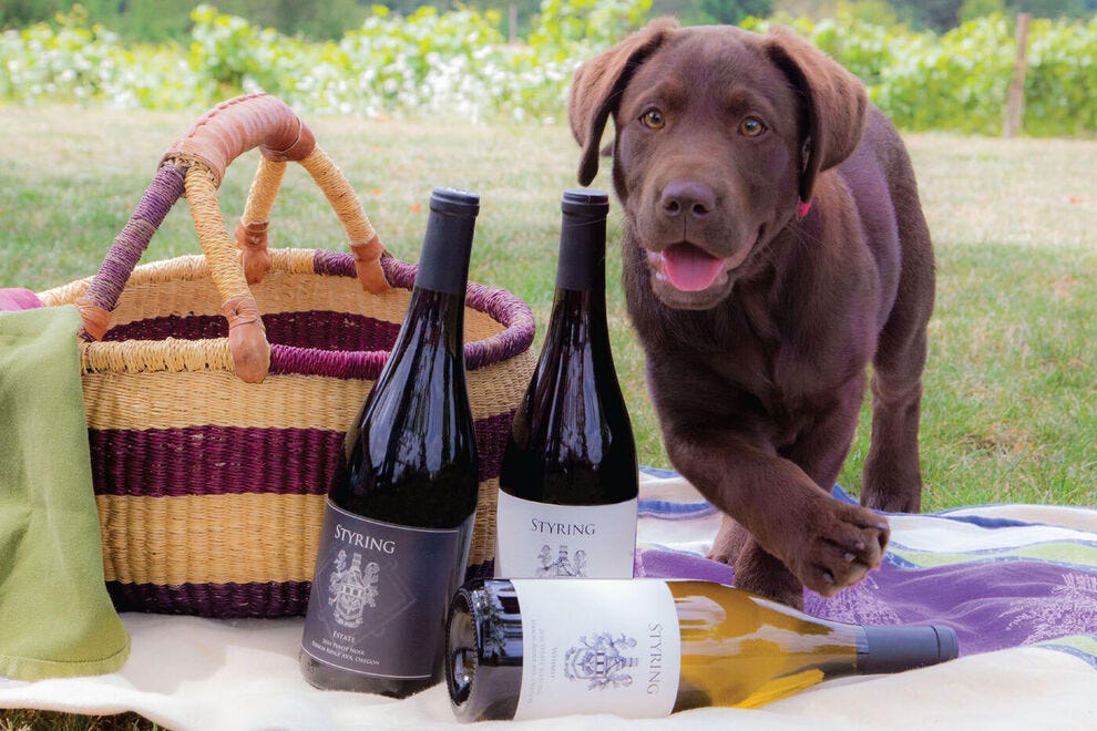 30 adorable winery dogs you'll love to meet
