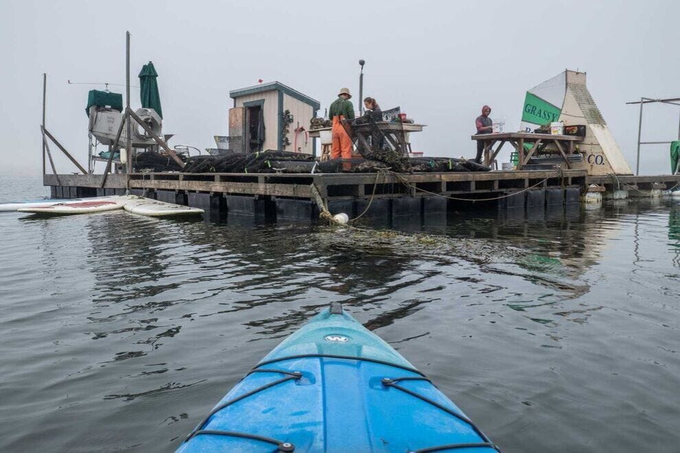 10 of the best food experiences you can have along California's Central