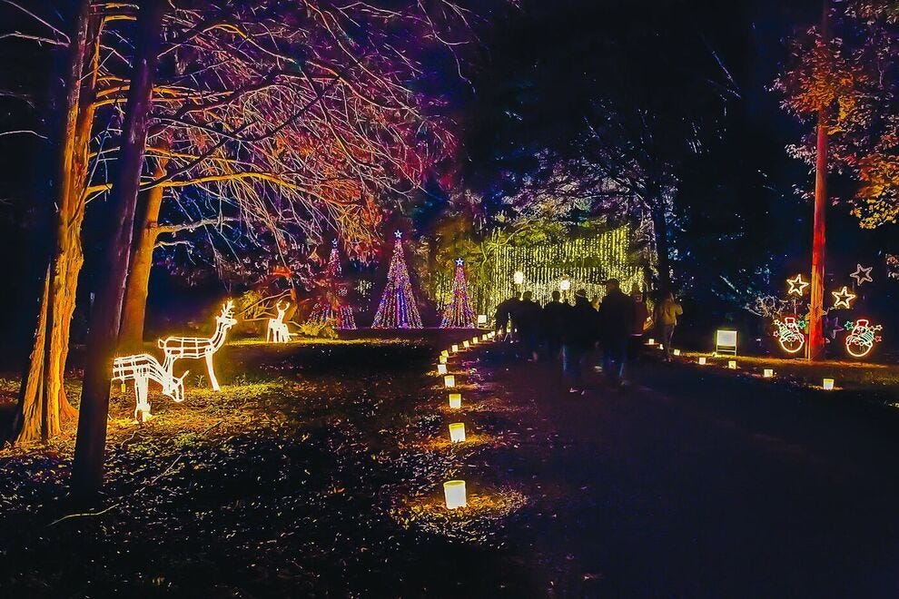 Christmas Lights Botanical Gardens 2022 Best Botanical Garden Holiday Lights Winners (2021) | Usa Today 10Best
