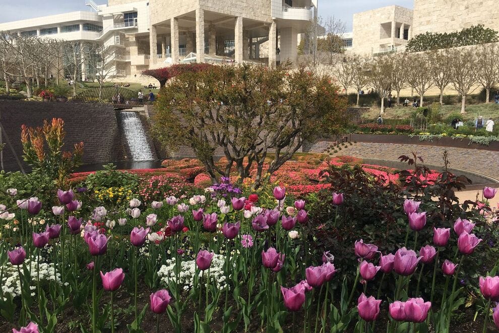 Some Getty Center visitors pack a picnic to enjoy on the stunning grounds