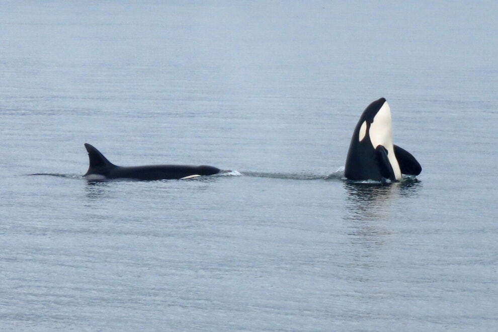 Southeast Alaska