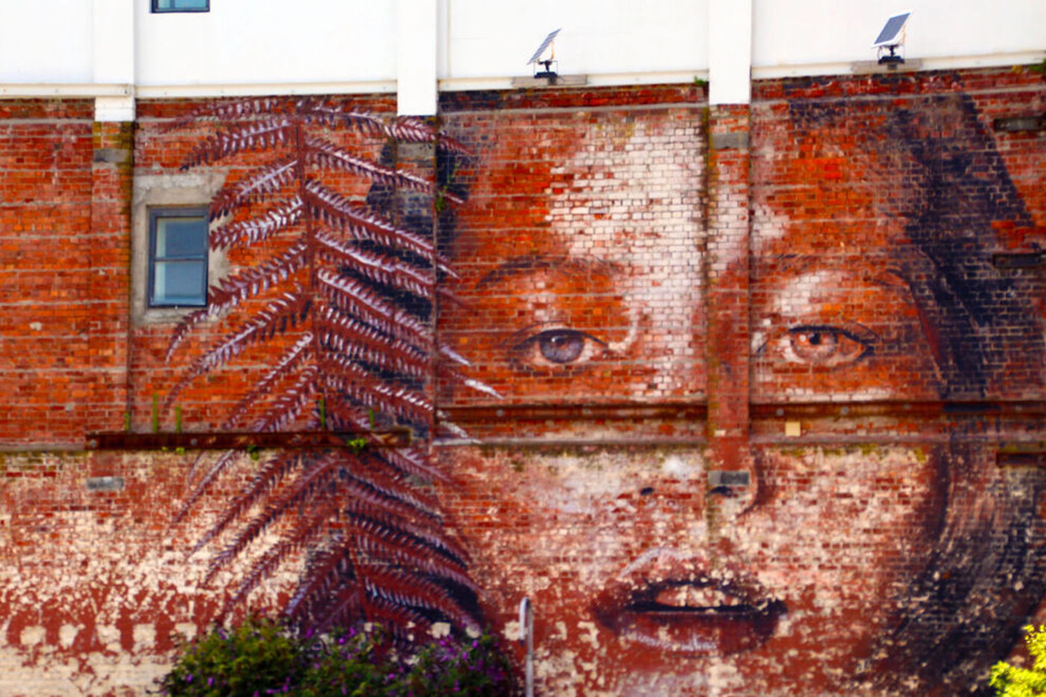 Why Christchurch, New Zealand is a must-see spot for street art