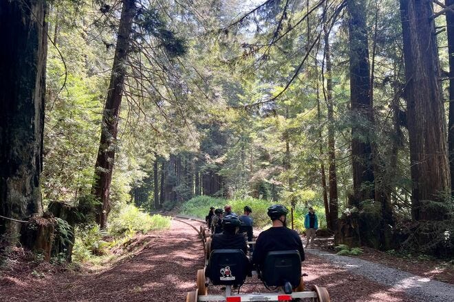 Cruise through redwoods on a rail bike from Fort Bragg, California