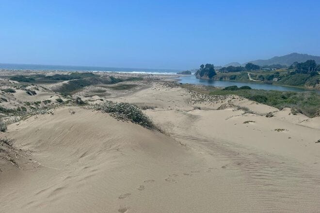 Ten Mile Dunes Nature Preserve has the some of the largest sand dunes in Northern California