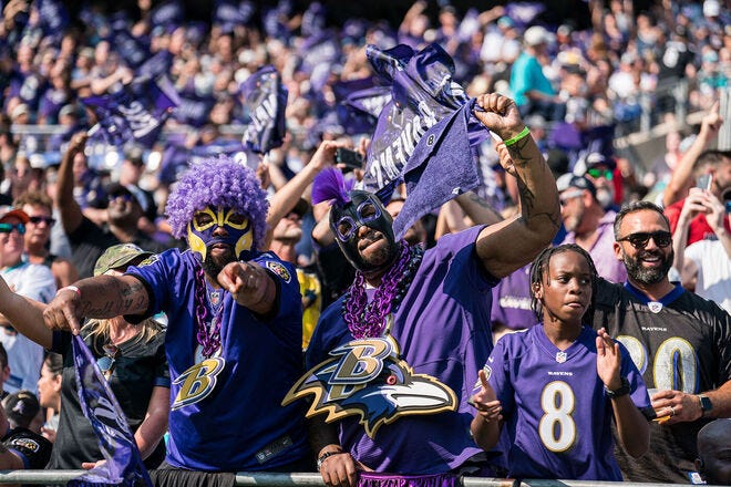 Baltimore Ravens: Fan Guide for M&T Bank Stadium Games » Way Blog