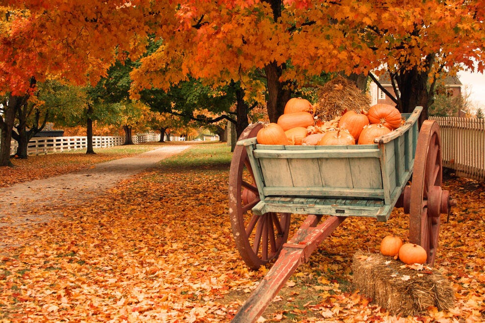 10 best destinations you'll really fall for this autumn