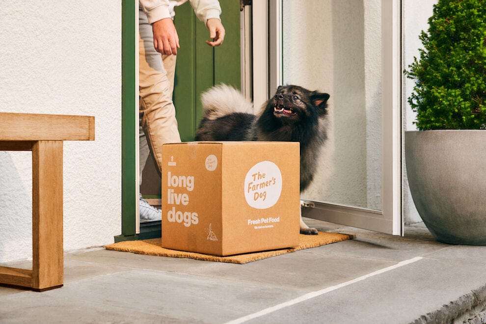 10 best pet subscription boxes for dogs and cats