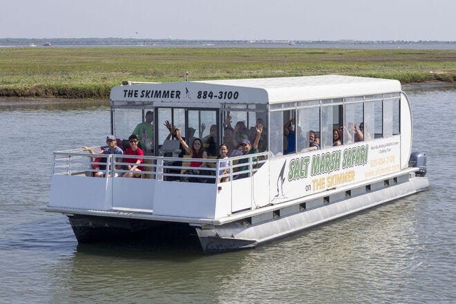 Salt Marsh Safari on The Skimmer