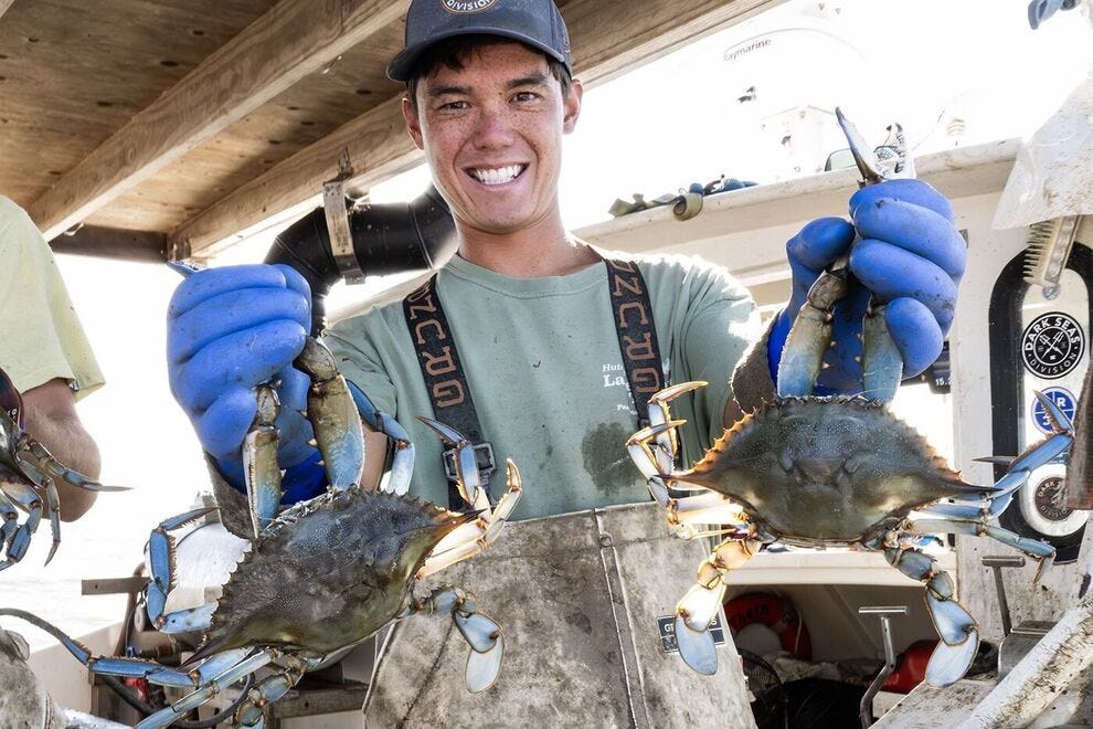 TikTok's most famous crabber explains why Maryland blue crabs are best