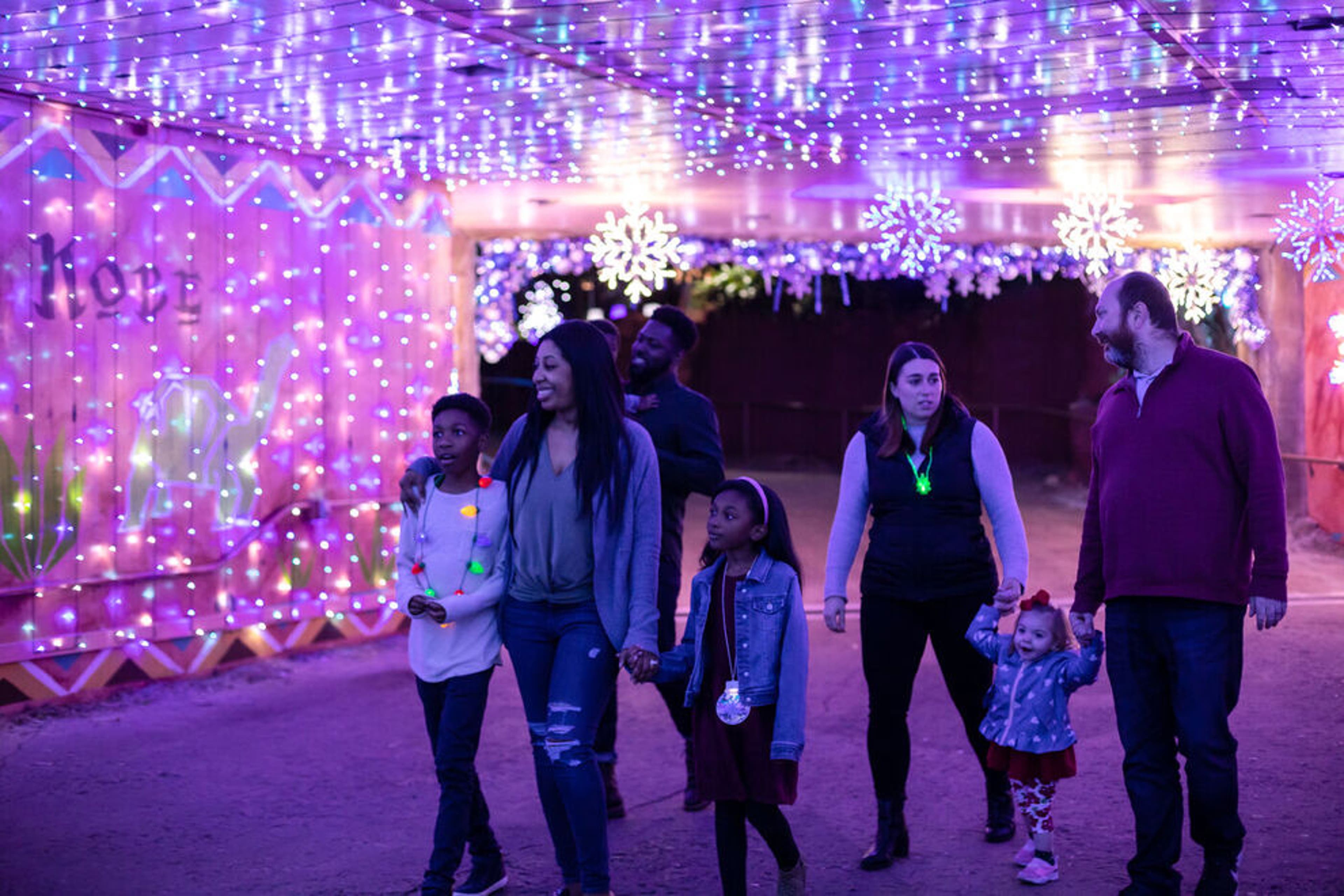 Christmas in the Wild at ZooTampa