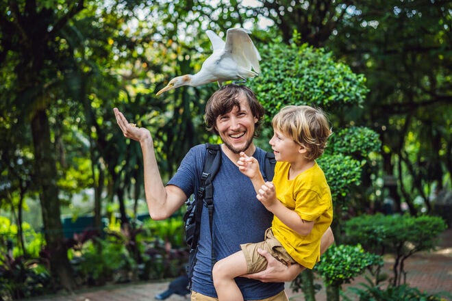 Help support your favorite zoo (and enjoy exclusive perks) with these zoo memberships