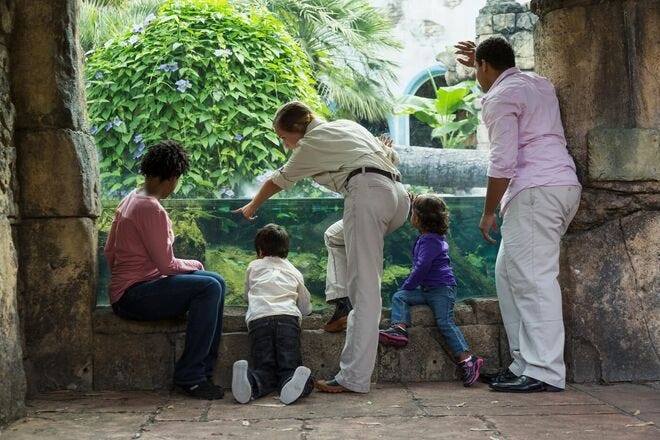 A visit to the zoo is a fun and educational outing for children and adults alike