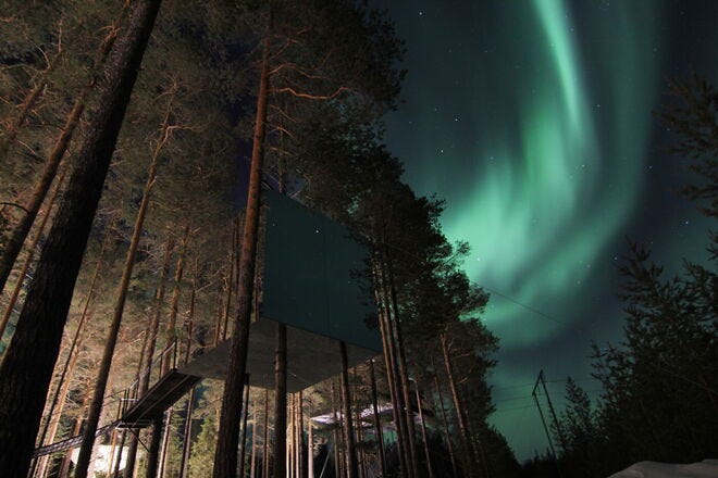 Amenities vary in the unique 'treerooms,' from eco-showers to saunas and secret balconies