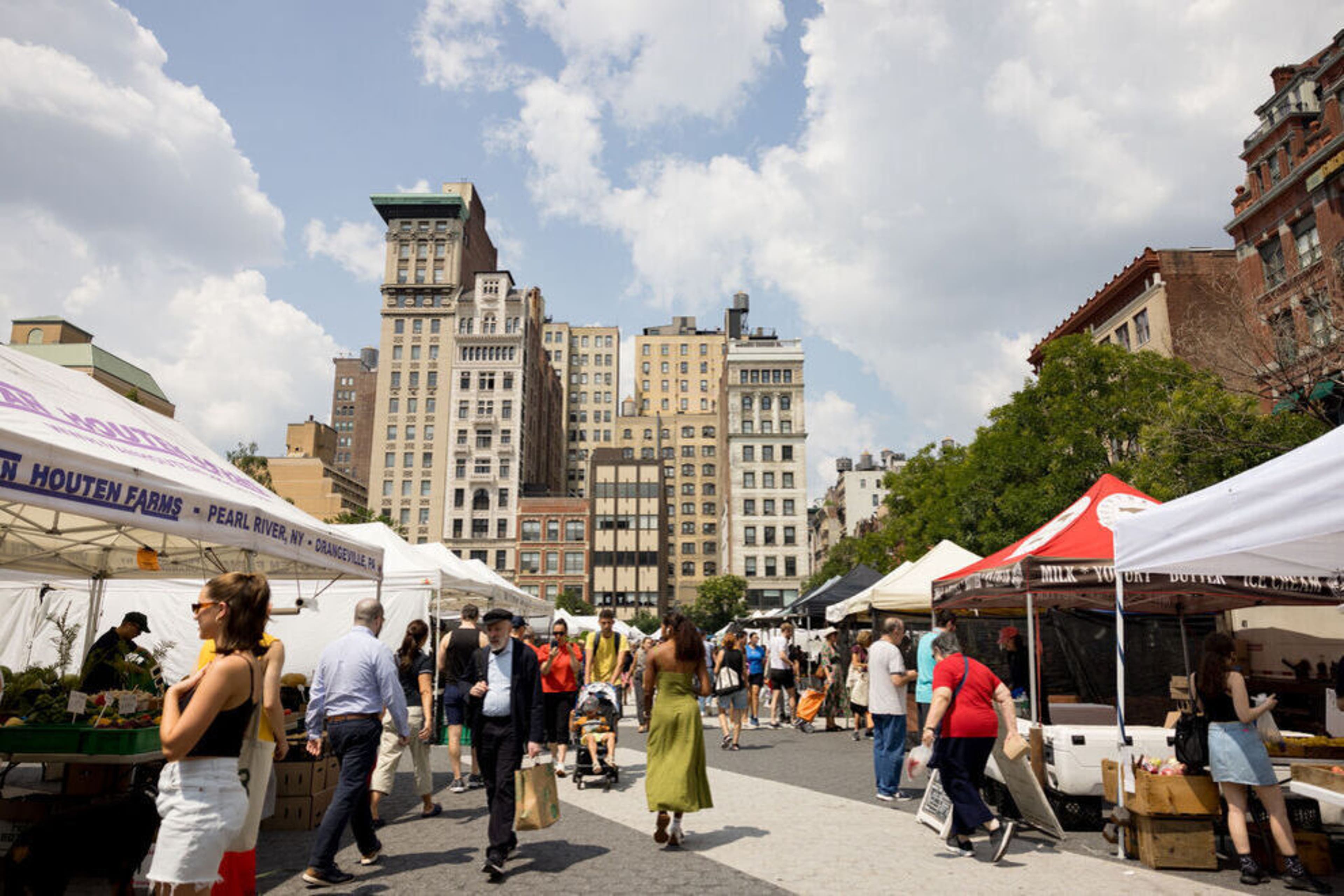 Union Square Greenmarket (farmers market photography) photo 1