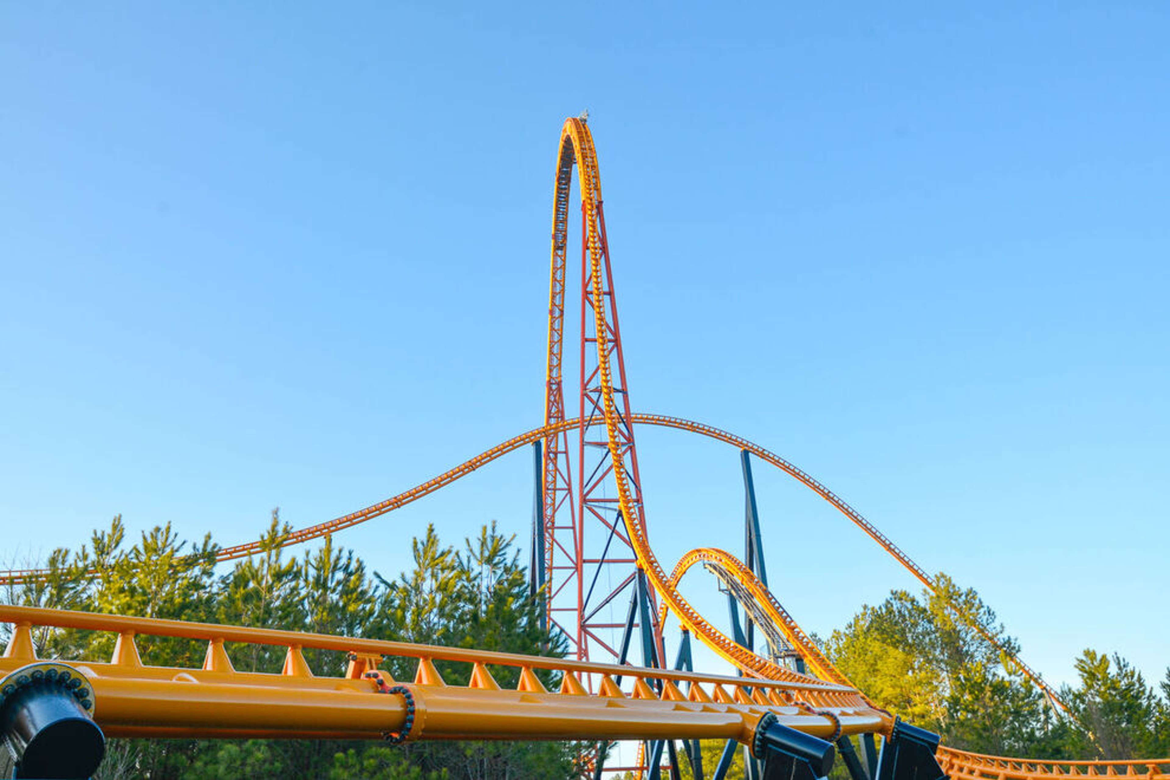 Pantherian at Kings Dominion