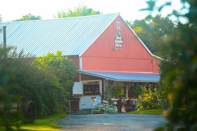 10 best apple orchards in the US for going apple picking