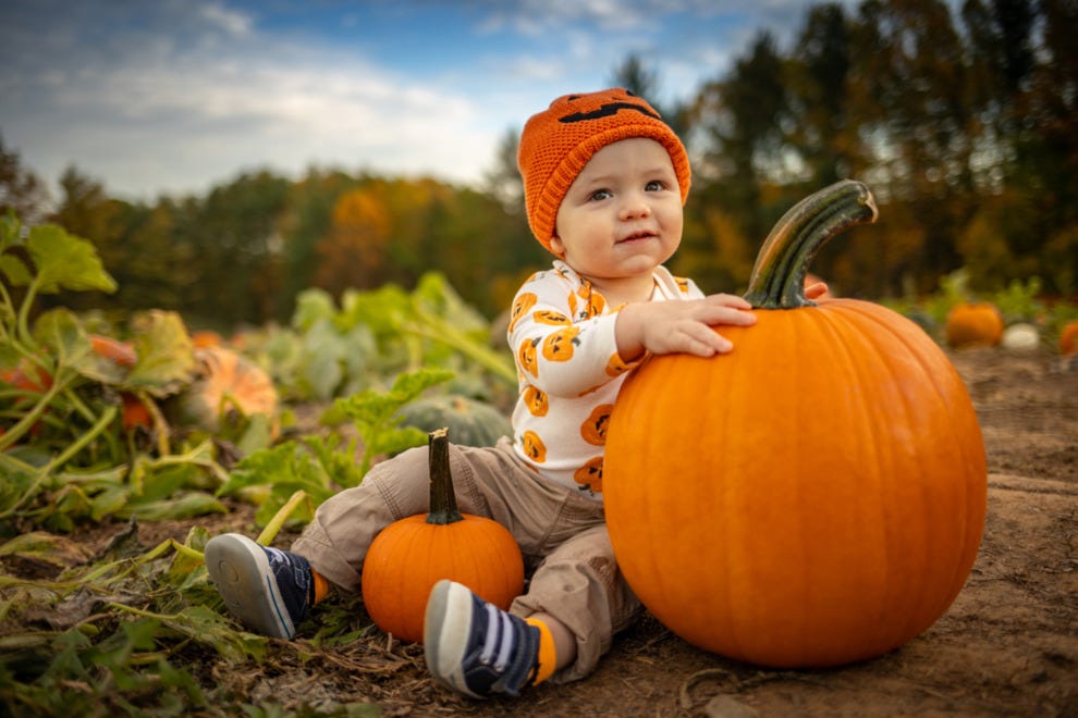 Orchard&JDSingle Barrel&JuraJourneyフェルト様 Amazon.com: GALLERIE II Tobias Scarecrow Joe Spencer Gathered