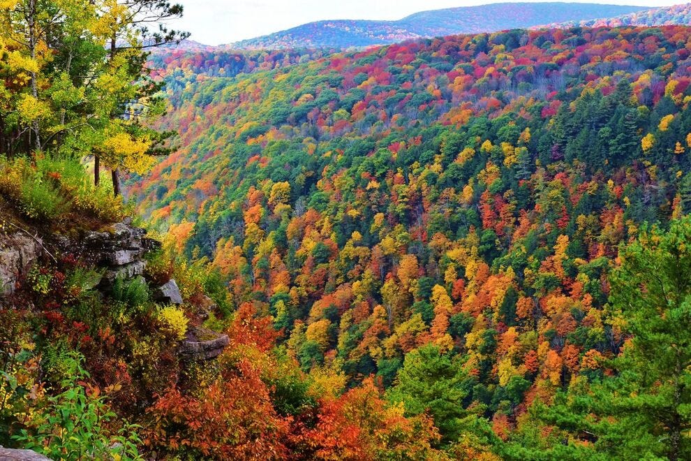 potter-tioga-pennsylvania