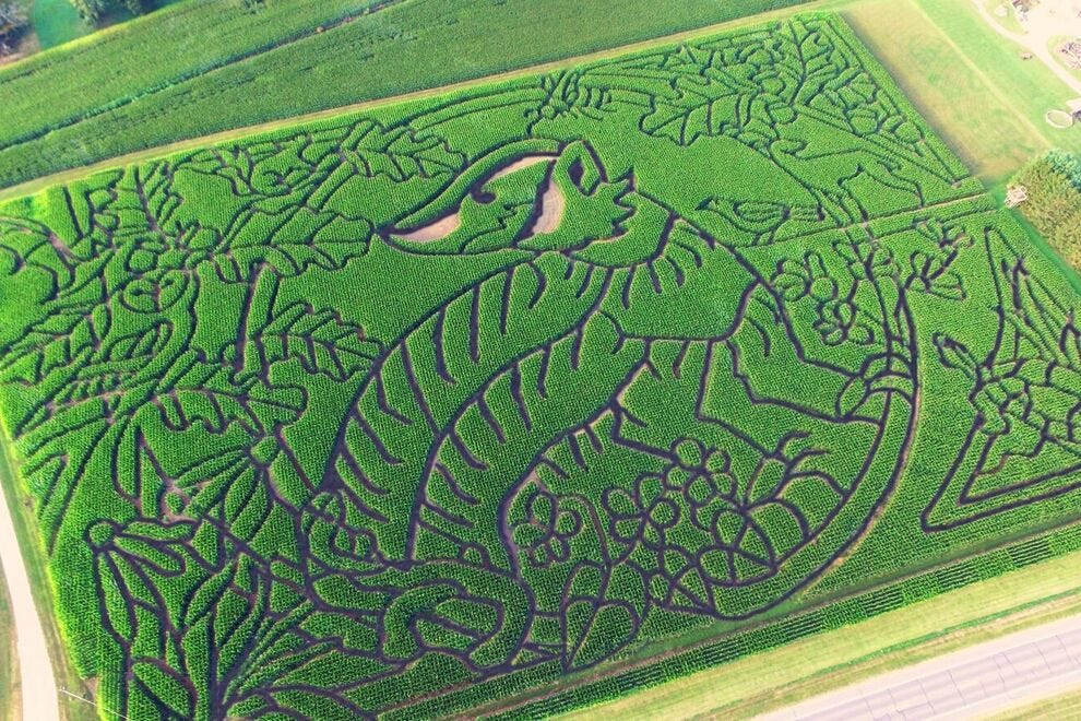 Treinen Farm Corn Maze and Pumpkin Patch: 2025 USA TODAY 10BEST