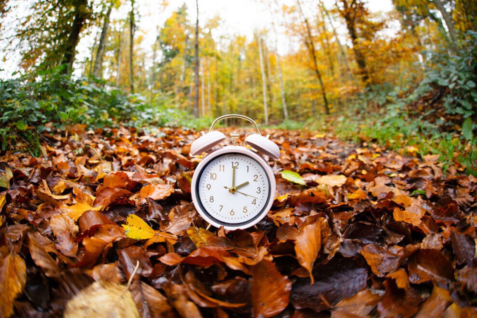 How daylight saving time impacts your health and ways to counter it