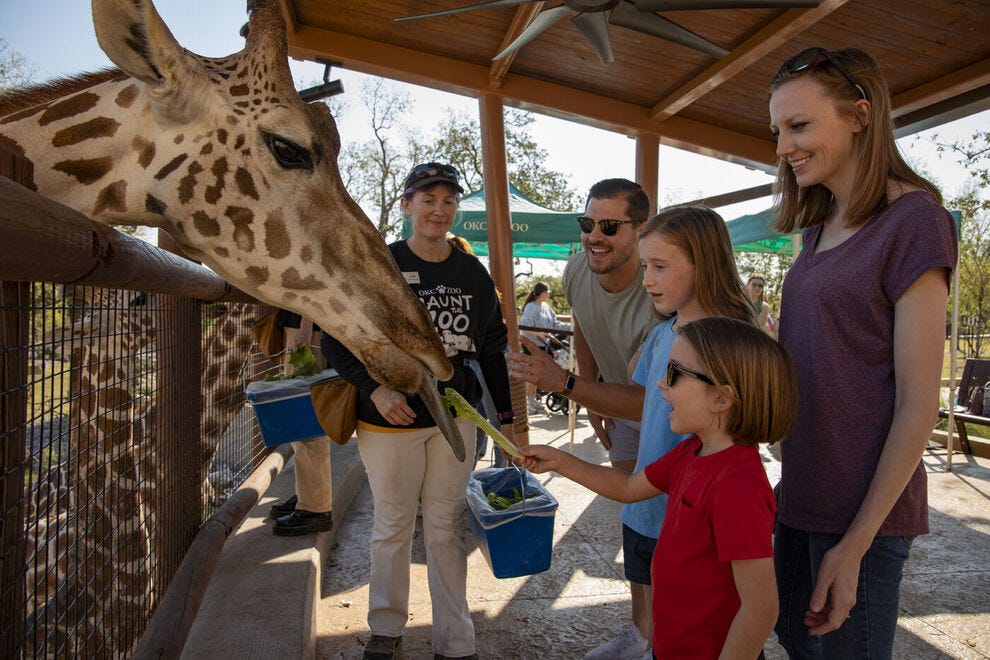 Oklahoma-City-Zoo_54_990x660.jpg