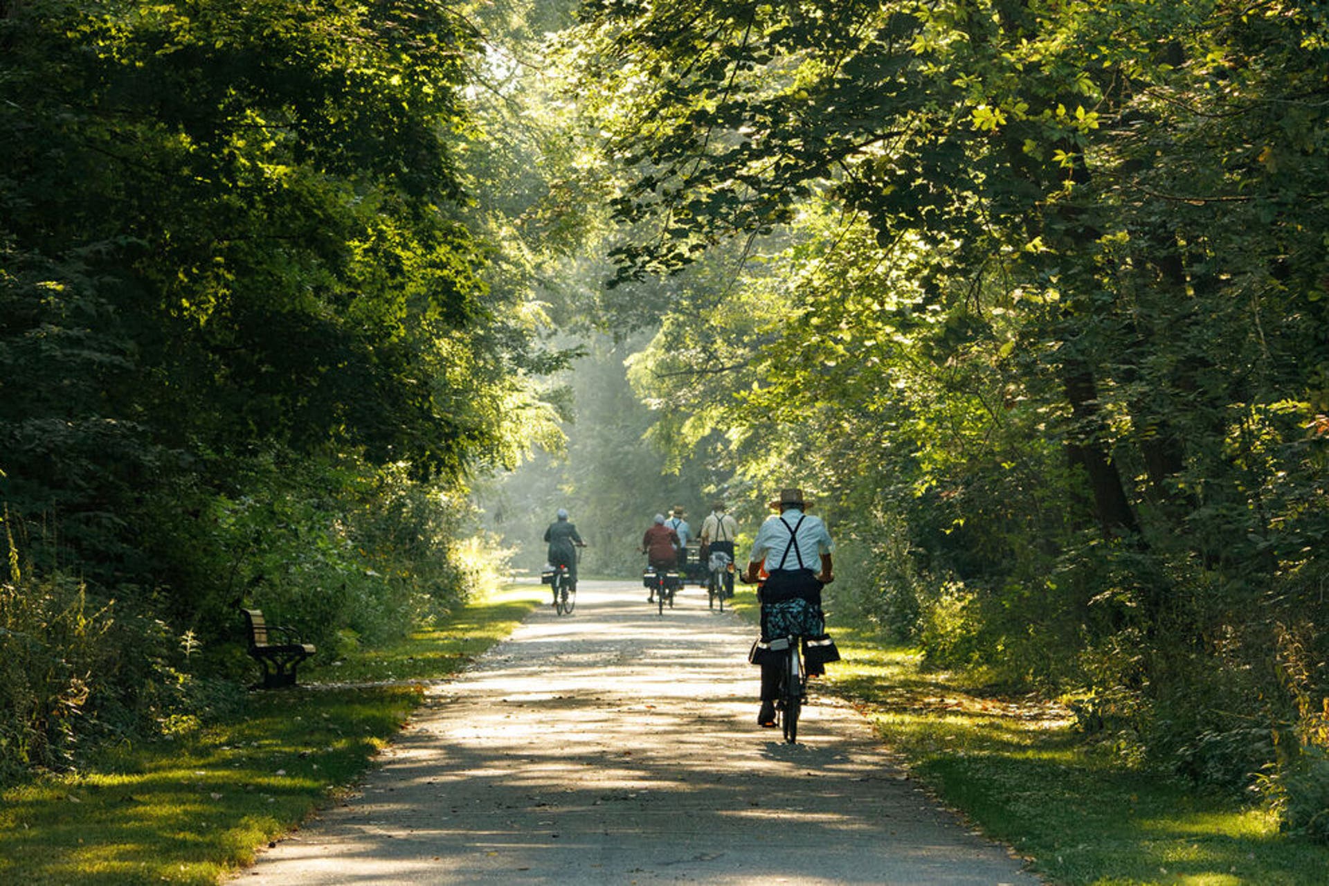 Unique Trail The 8 hiking trails everyone needs to visit in 2026, according to AllTrails