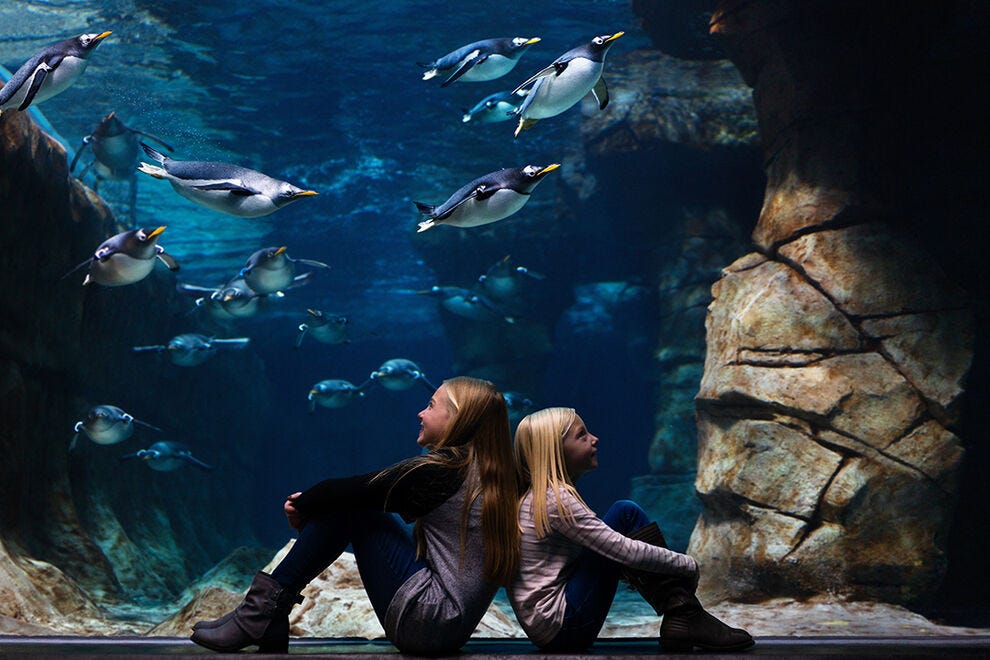 Loveland Living Planet Aquarium: 2026 USA TODAY 10BEST Readers