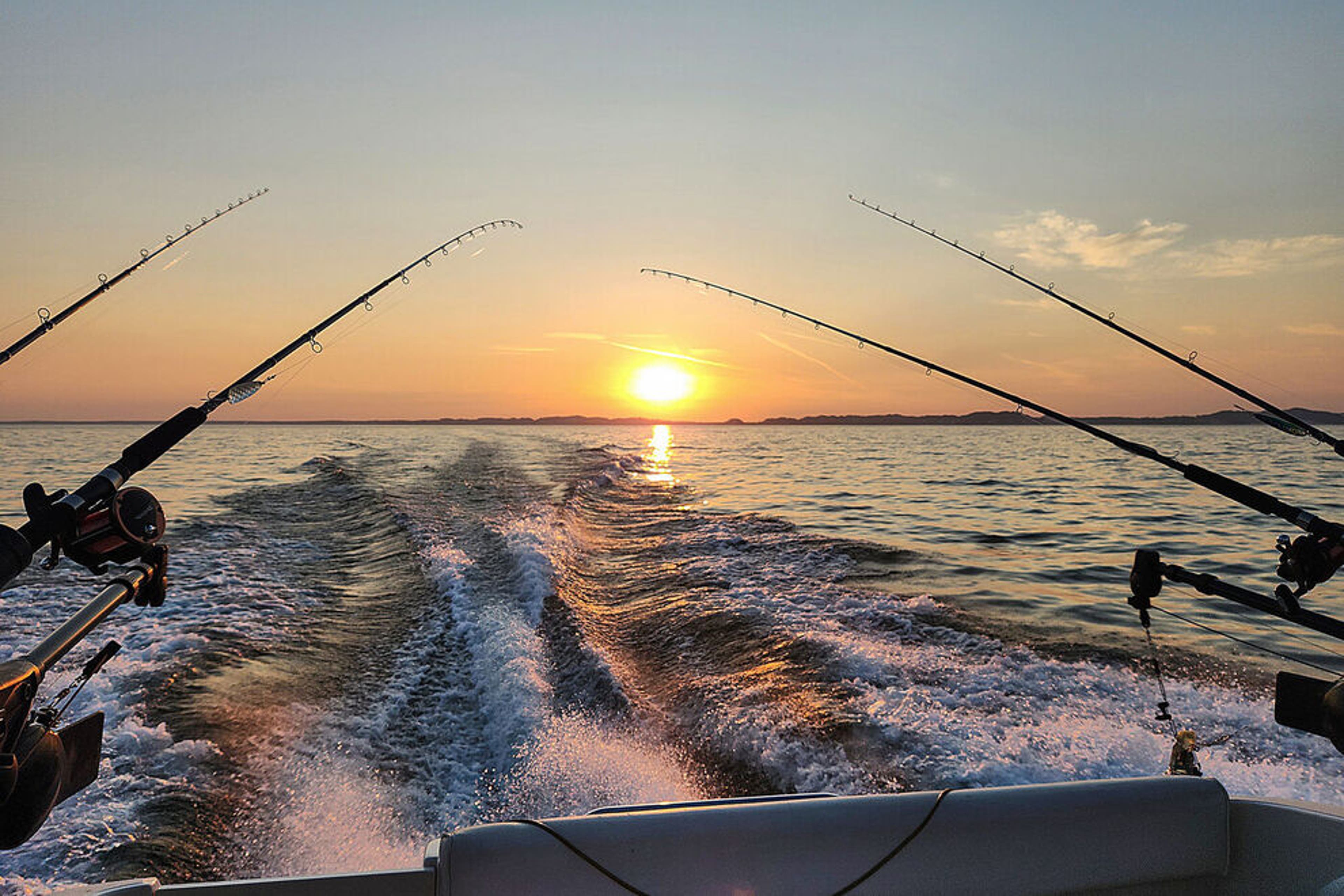 best g loomis jerkbait rod G. Loomis GLX Bladed Jig Rod Review