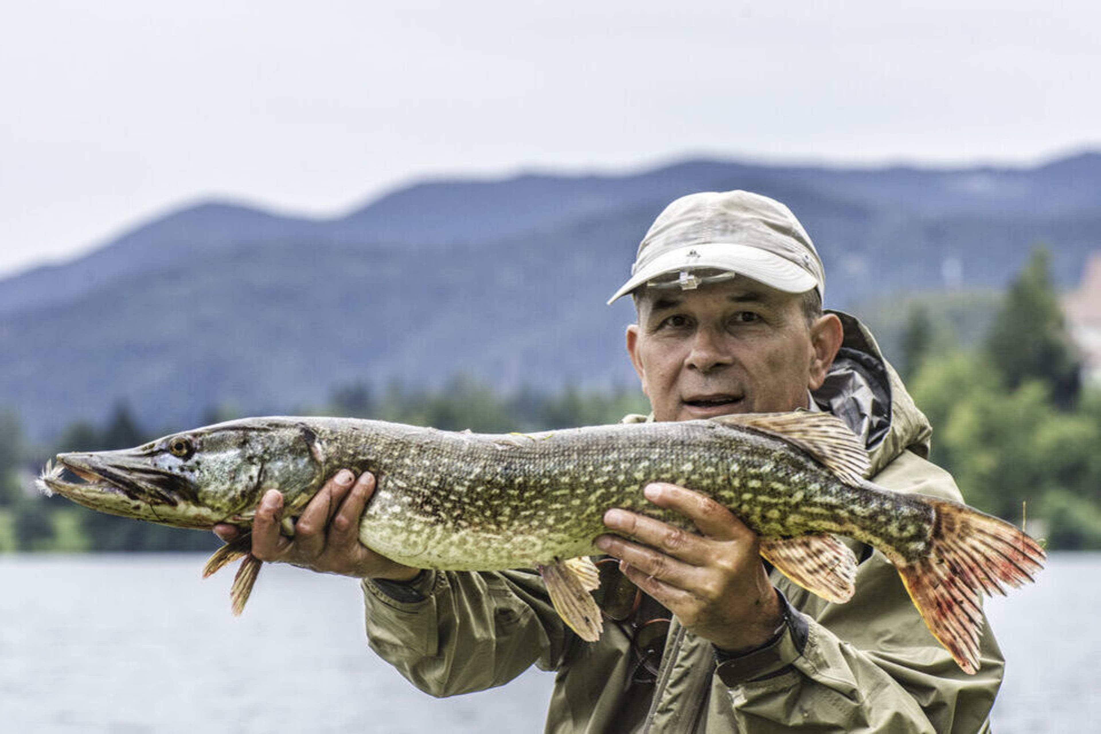 Maine Wilderness Tours