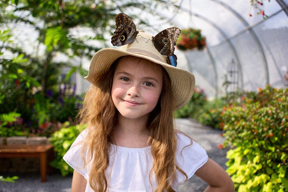 The Butterfly House at Navy Pier: 2026 USA TODAY 10BEST Readers