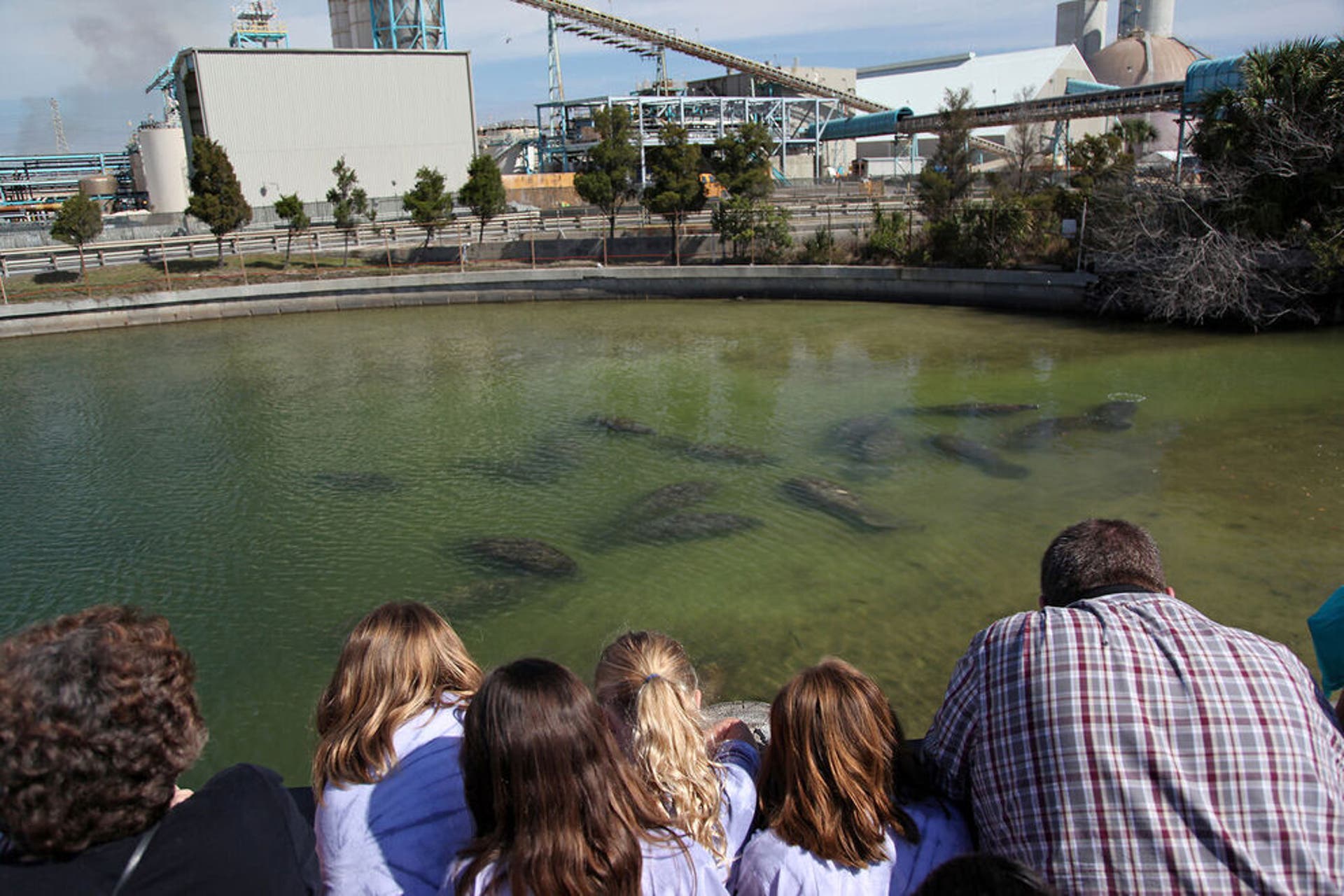 Viewing Center TECO Manatee Viewing Center: 2026 USA TODAY 10BEST Readers' Choice Awards