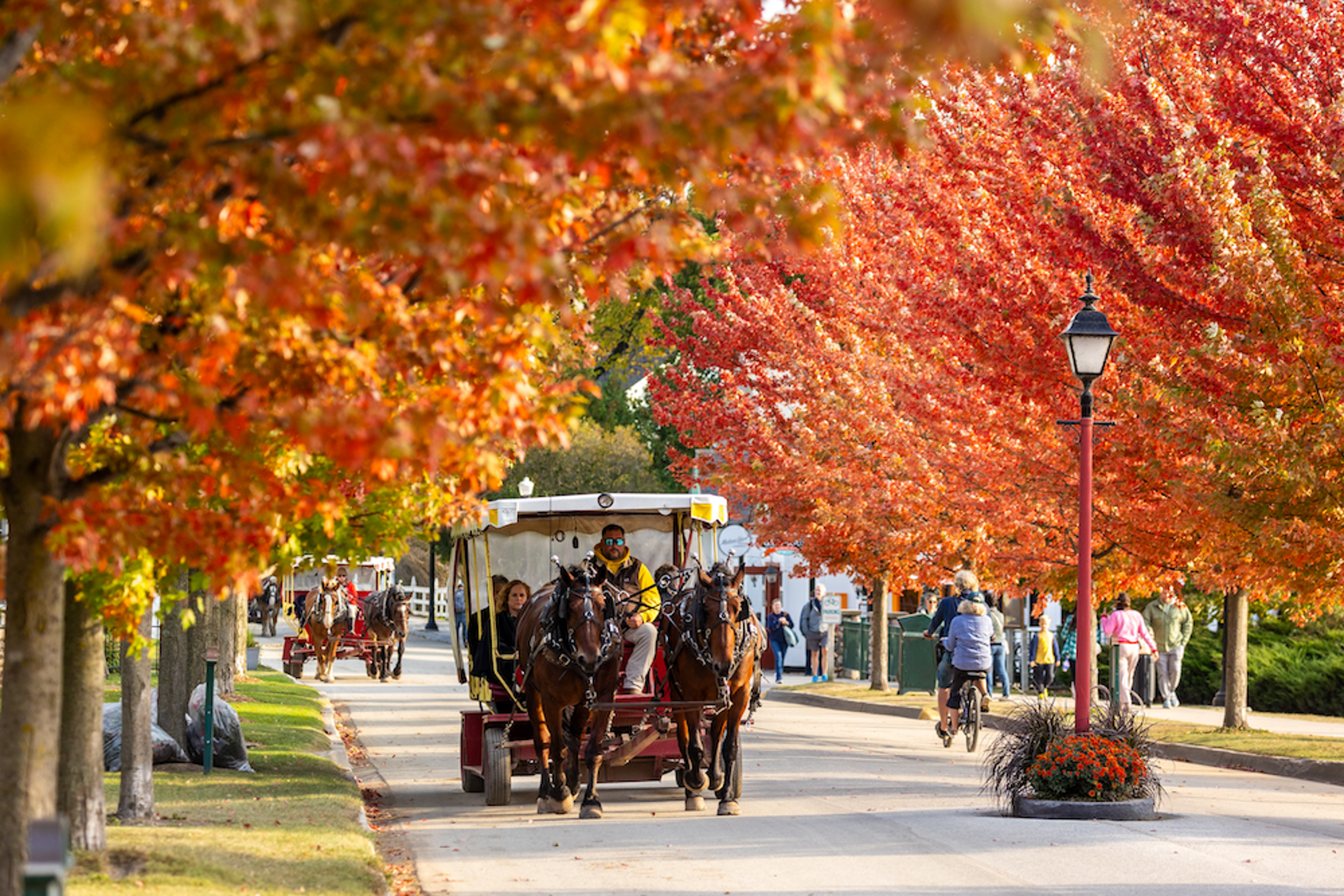 Best Place to Visit for Fall
