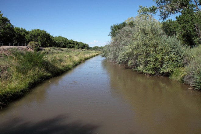 Rio Grande Nature Center State Park Is One Of The Very Best Things To Do In Albuquerque