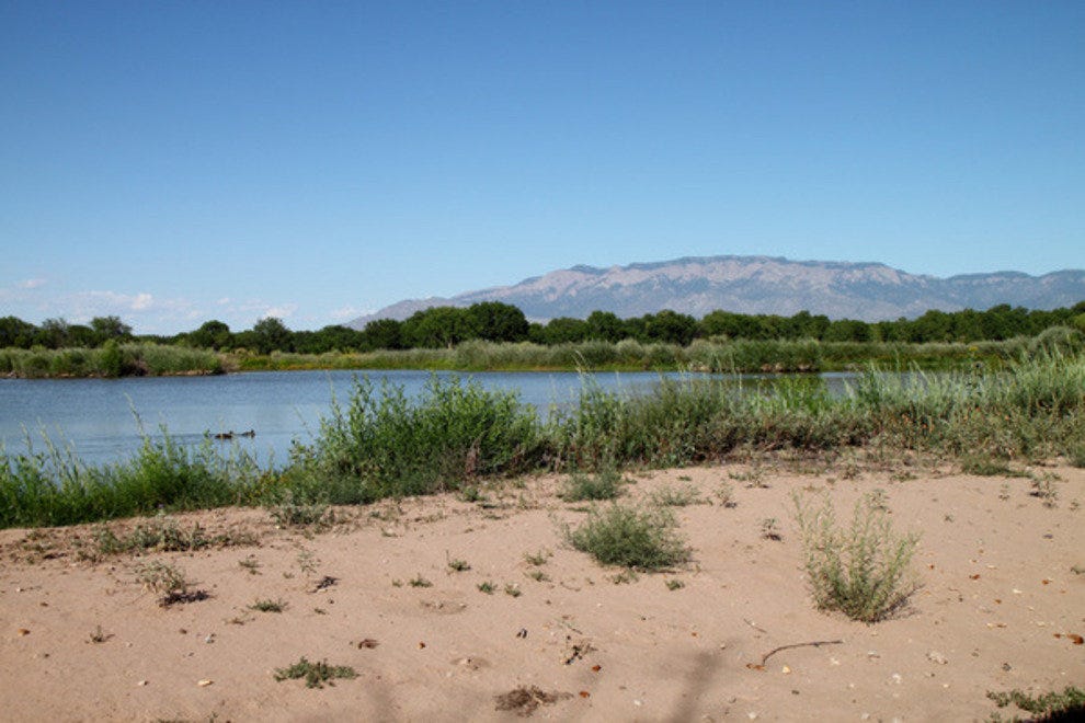 Rio Grande Nature Center State Park Albuquerque Attractions Review 10Best Experts and Tourist