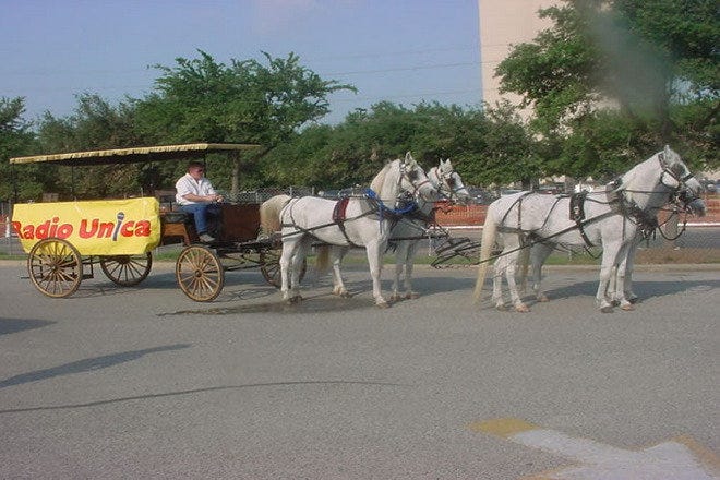 horse and carriage rental houston